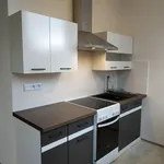 Rent 1 bedroom apartment in Příbram