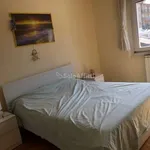 Rent 2 bedroom apartment of 65 m² in Trieste