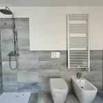 Rent 3 bedroom apartment of 81 m² in Padova