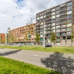 Huur 2 slaapkamer appartement van 85 m² in Rotterdam