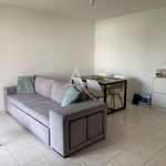 Rent 2 bedroom apartment of 43 m² in ALBIT