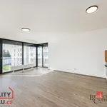 Pronajměte si 1 ložnic/e byt o rozloze 54 m² v Pilsen