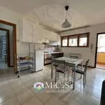 Rent 2 bedroom apartment of 65 m² in pisa