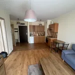 Rent 2 bedroom apartment of 33 m² in Szczecin