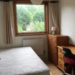 Rent 6 bedroom house in Canterbury