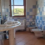 Rent 5 bedroom apartment of 110 m² in Tarquinia