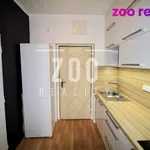 Rent 1 bedroom apartment of 24 m² in České Budějovice