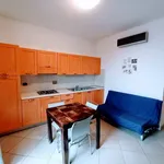 Rent 2 bedroom apartment of 45 m² in Pisa