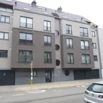 Rent 2 bedroom apartment in Evere