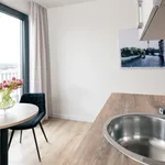 Rent 2 bedroom apartment of 48 m² in Berlin