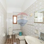 Rent 8 bedroom house of 230 m² in Nicolosi