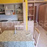 Rent 1 bedroom apartment of 36 m² in Pomezia