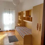 Alugar 4 quarto apartamento em Castelo Branco