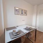 Rent 1 bedroom apartment of 45 m² in Duisburg