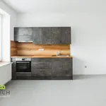 Rent 2 bedroom apartment of 36 m² in Náchod