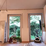 Rent 1 bedroom apartment of 42 m² in München