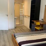 Rent a room in madrid