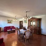 Rent 5 bedroom house of 140 m² in Parma