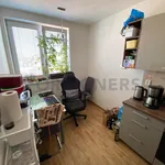 Rent 1 bedroom apartment of 37 m² in Brno