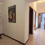 Rent 3 bedroom apartment of 100 m² in Verona