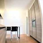 Rent 3 bedroom apartment of 115 m² in Milano