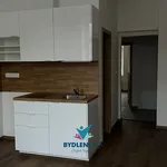 Rent 2 bedroom apartment in Teplice