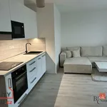 Rent 2 bedroom apartment in Rokycany