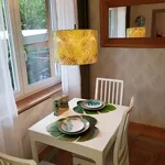 Rent 2 bedroom apartment of 45 m² in Nuremberg