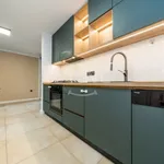 Rent 3 bedroom apartment in Třinec