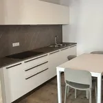 Rent 1 bedroom apartment of 120 m² in Treviso