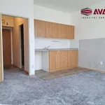 Rent 1 bedroom apartment in Opava