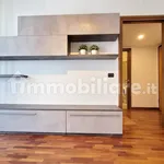 Rent 2 bedroom apartment of 50 m² in Milan