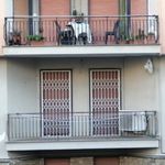 Appartamento QUADRILOCALE in affitto a	Santo Stefano al Mare (Im)