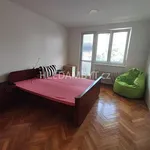 Pronajměte si 3 ložnic/e byt o rozloze 74 m² v Capital City of Prague