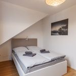 Rent 2 bedroom apartment of 28 m² in Duisburg