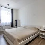 Pronajměte si 1 ložnic/e byt o rozloze 45 m² v Prague