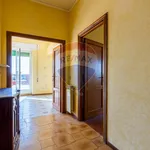 Rent 3 bedroom apartment of 94 m² in Roma