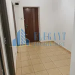 Rent 1 bedroom apartment in Lovnic