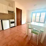 Rent 1 bedroom apartment of 37 m² in Rome