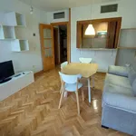 Rent 1 bedroom apartment of 46 m² in Madrid