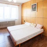 Rent 2 bedroom apartment in Jihlava