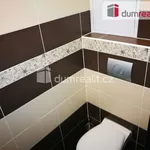 Pronajměte si 3 ložnic/e byt o rozloze 74 m² v Budišov nad Budišovkou