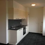 Rent 3 bedroom apartment of 65 m² in De Dem