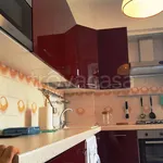 Rent 7 bedroom apartment of 180 m² in Torino