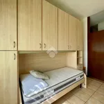 Rent 3 bedroom apartment of 90 m² in Monza