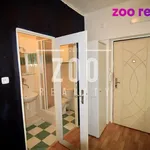 Rent 1 bedroom apartment of 24 m² in České Budějovice