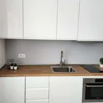 Rent 1 bedroom apartment in milan