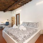 Rent 2 bedroom apartment in Roma