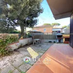 Rent 3 bedroom apartment of 65 m² in Pisa