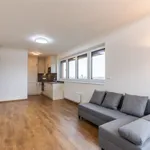 Rent 2 bedroom apartment of 50 m² in Capital City of Prague